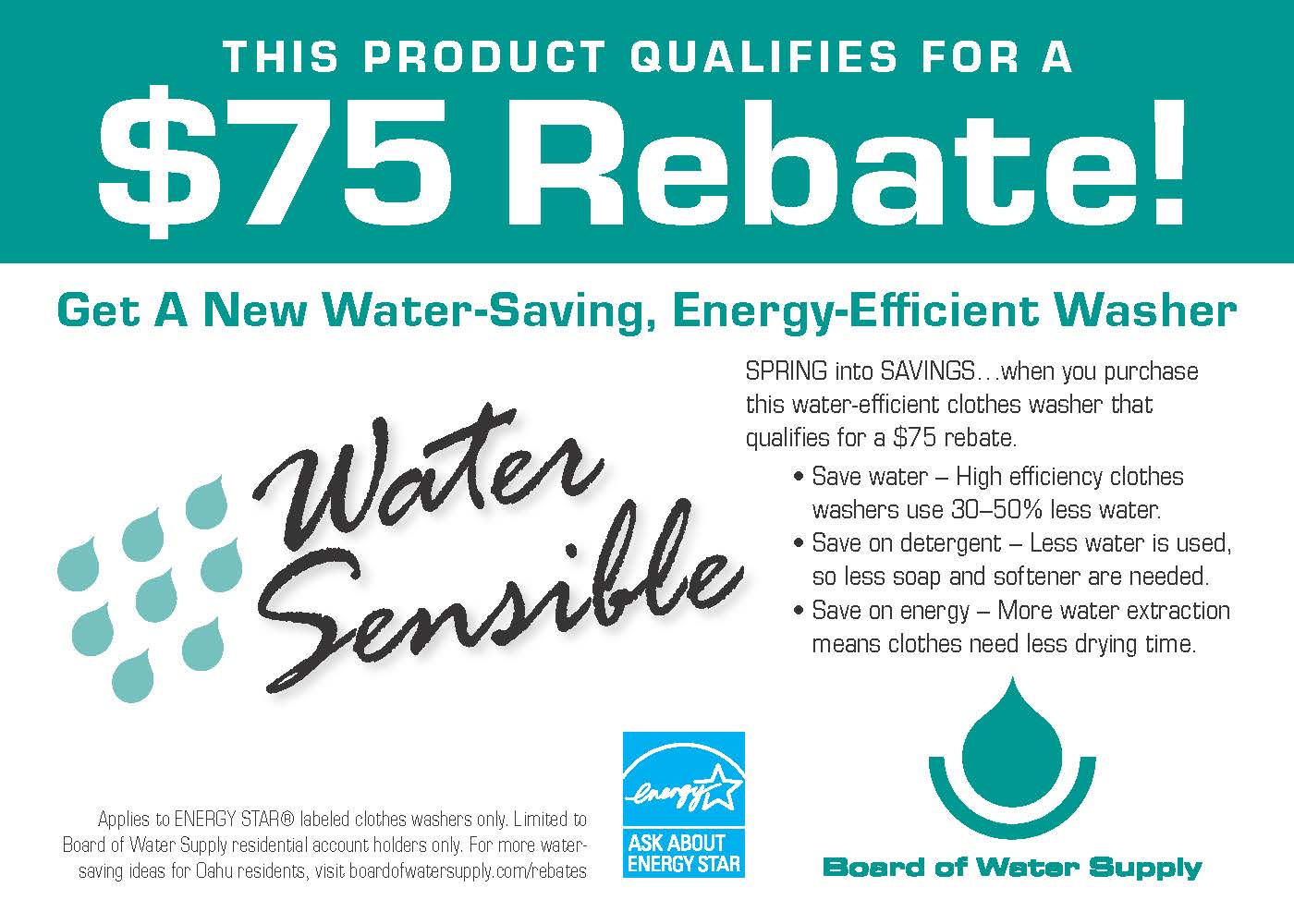 Washer Water Rebate California