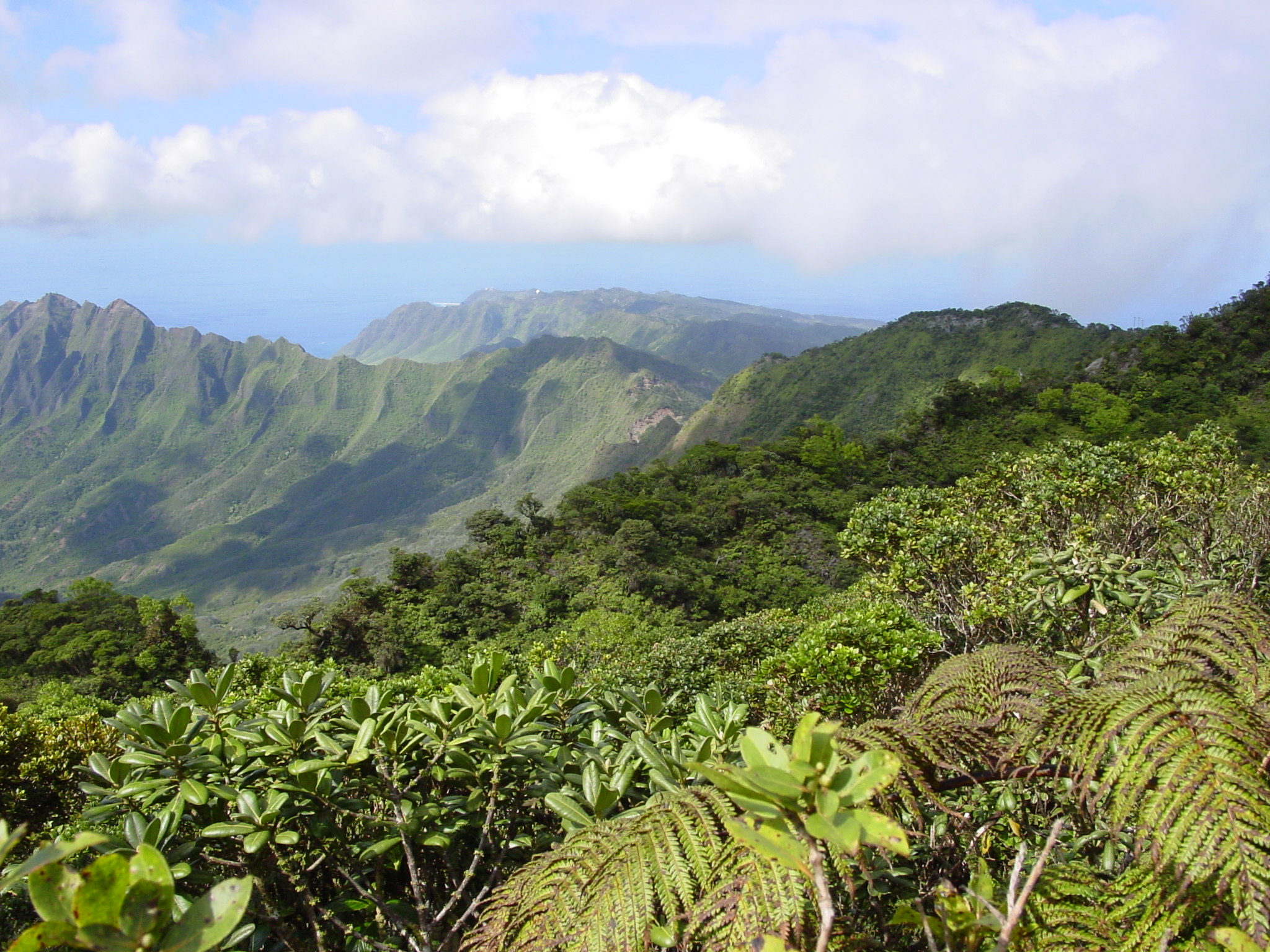 upper makaha valley watershed