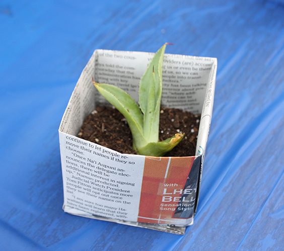 benefits of origami paper pot planters