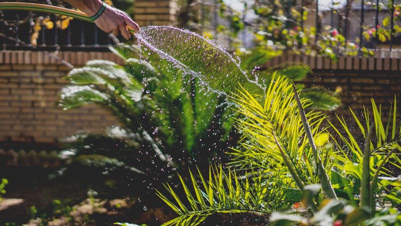 tip #6: put a nozzle on your garden hose