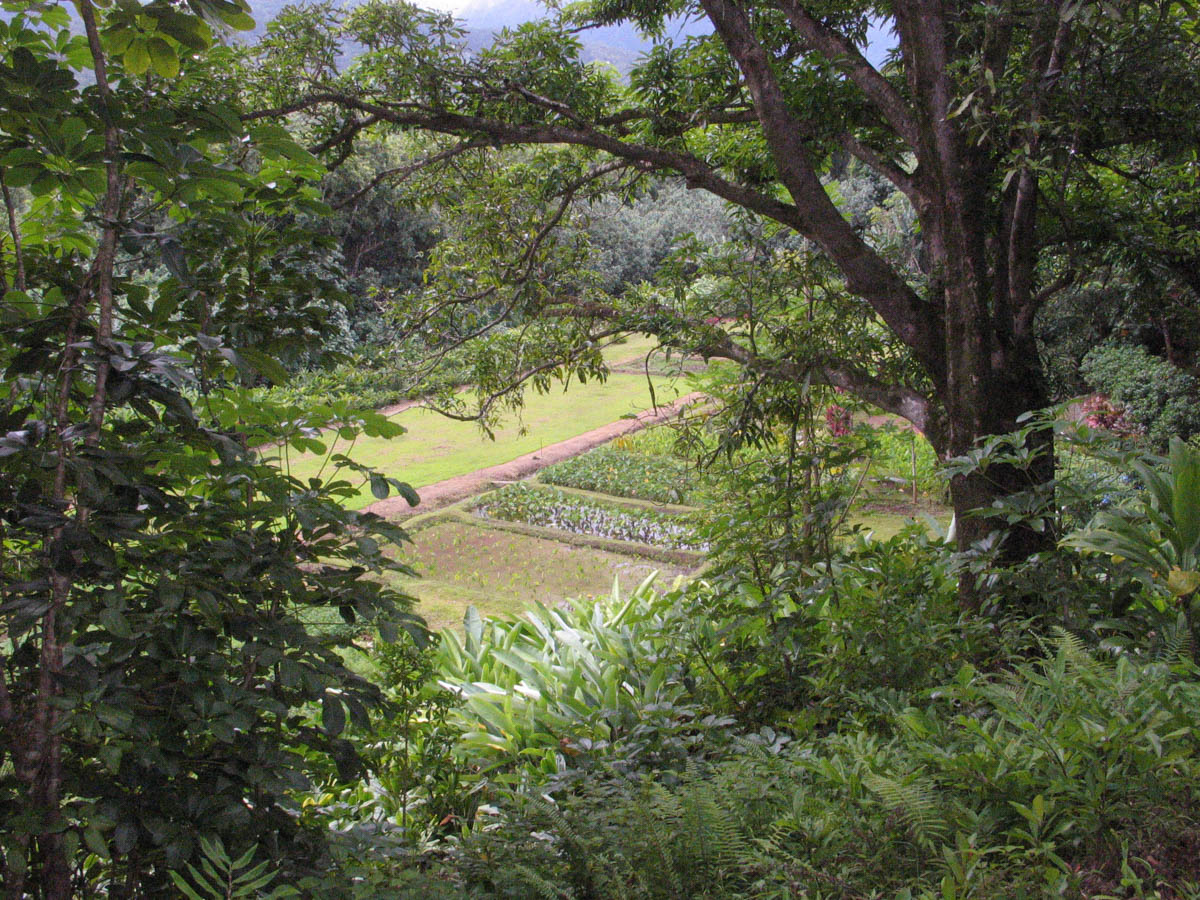 koolau ahupuaa