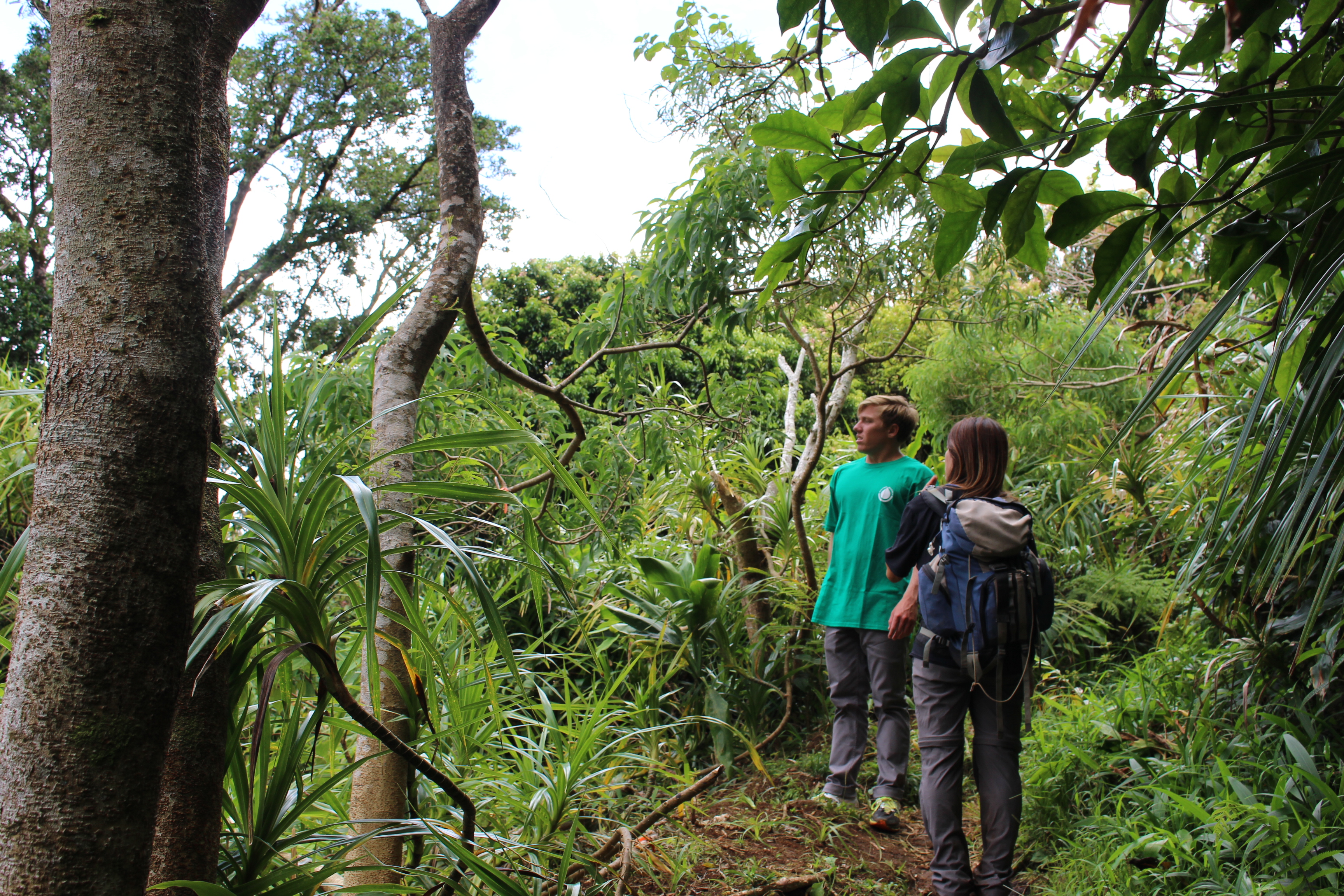 waianae kai outplant day