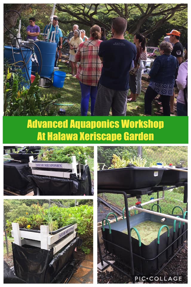 Advanced Aquaponics