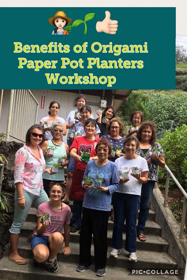 Benefits of Origami Paper Pot Planters