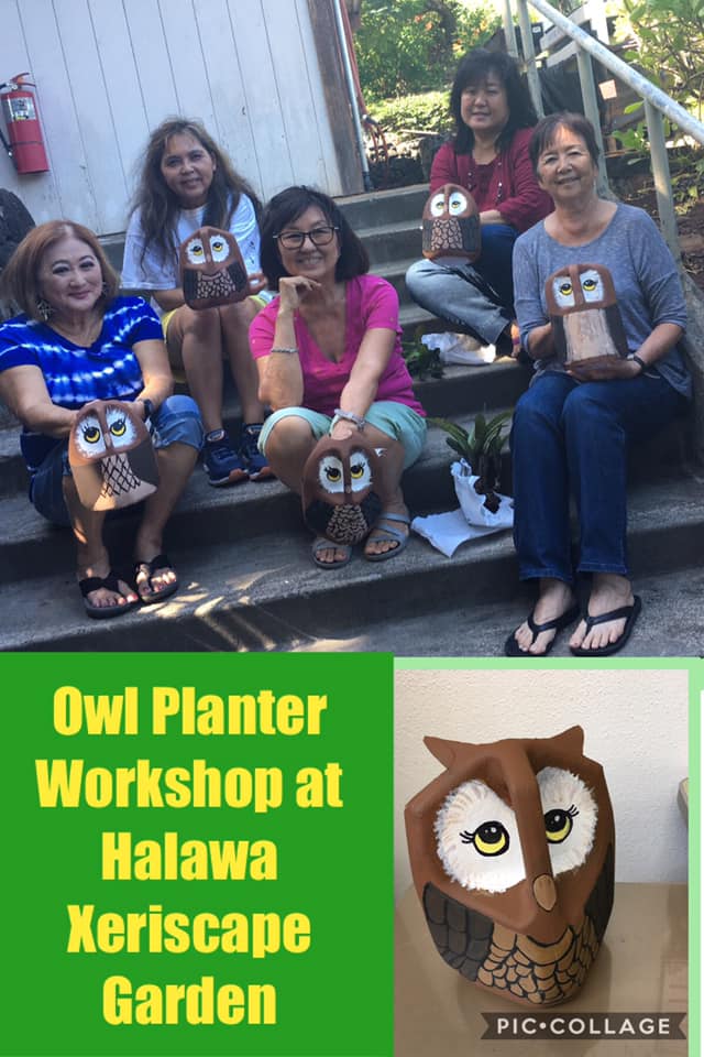 Owl Planters