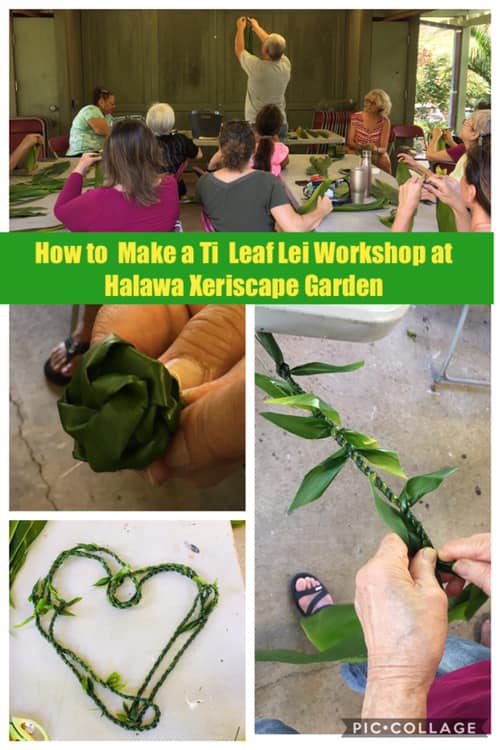 How to Make Ti-Leaf Lei