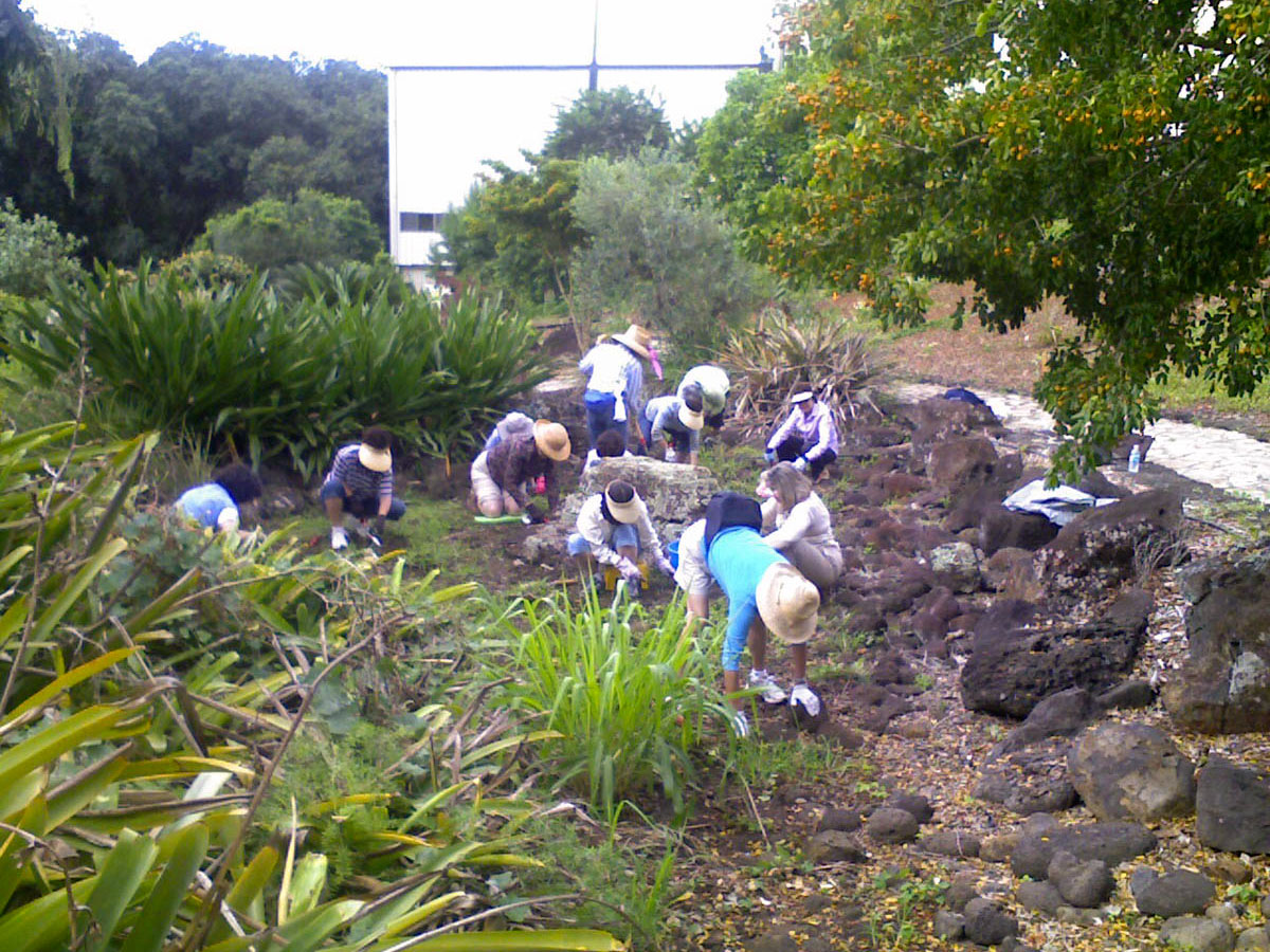 friends of halawa xeriscape garden volunteers january 2009