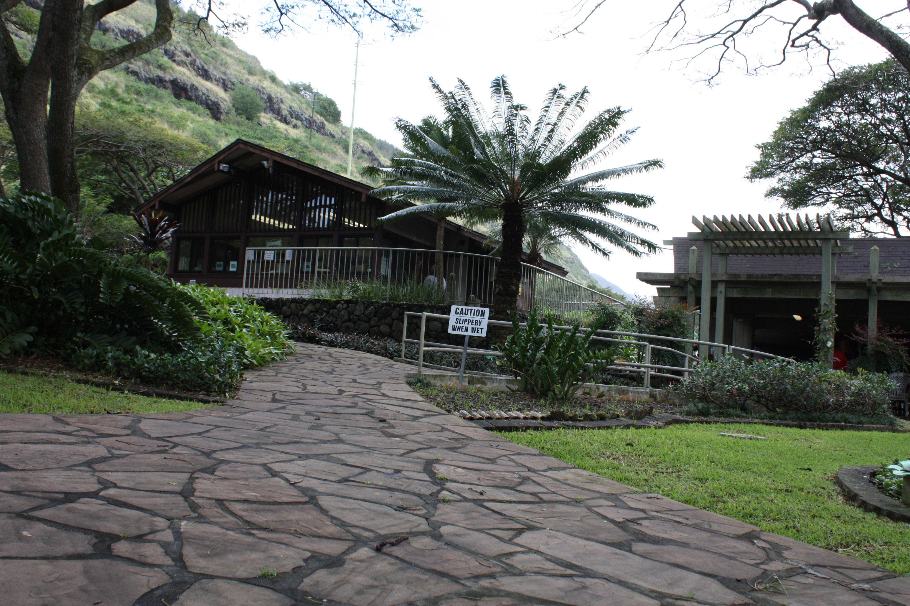 halawa xeriscape garden