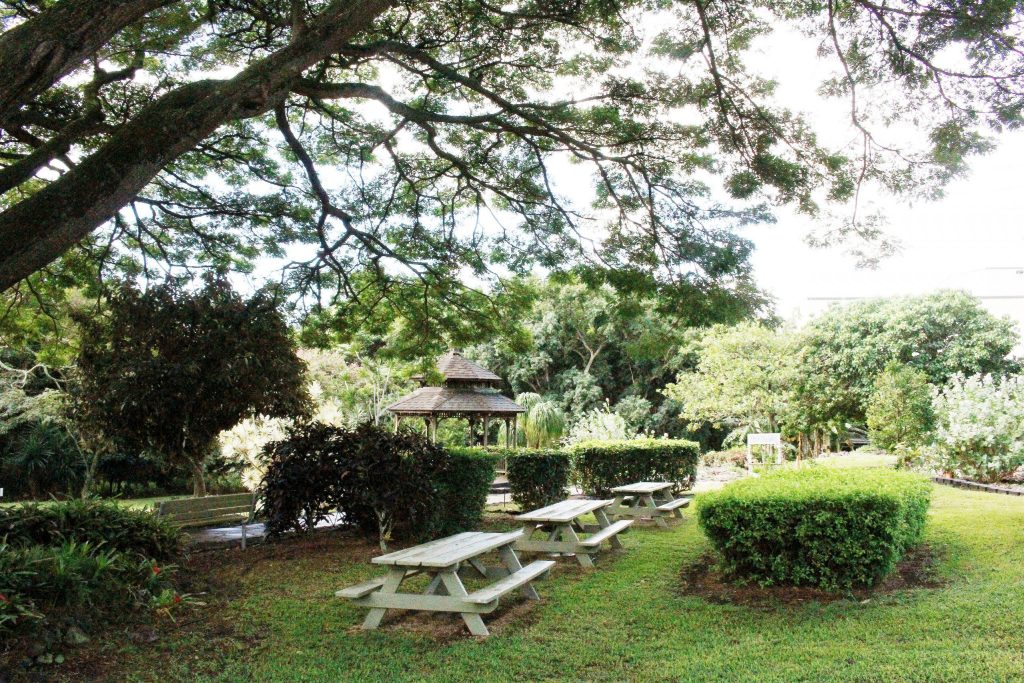 halawa xeriscape garden gazebo