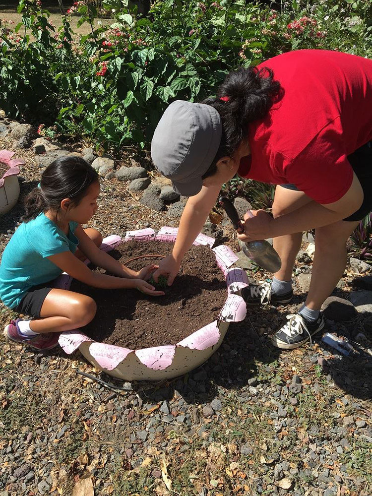 keikiscapes 2017 halawa xeriscape garden