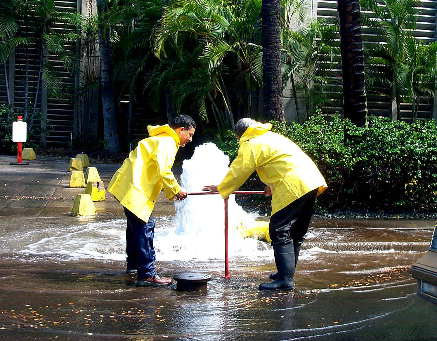 stop water loss