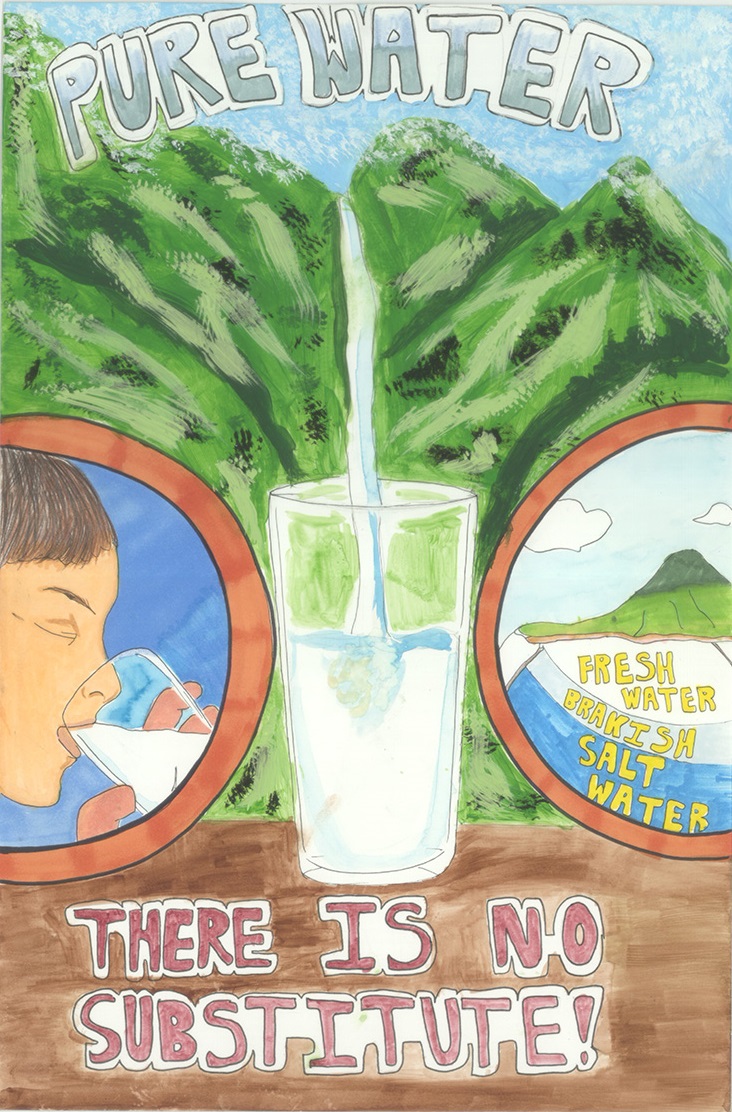 2016 poster contest loko maikai lynch