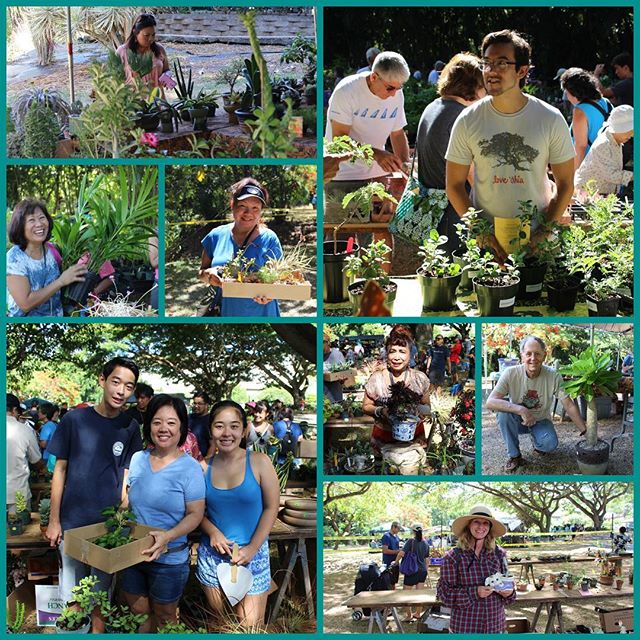 plant sale photos 2017