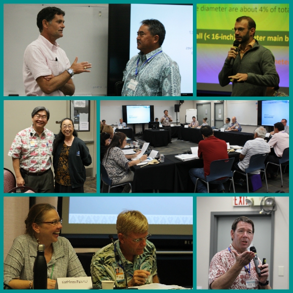 stakeholder advisory group collage june 2017