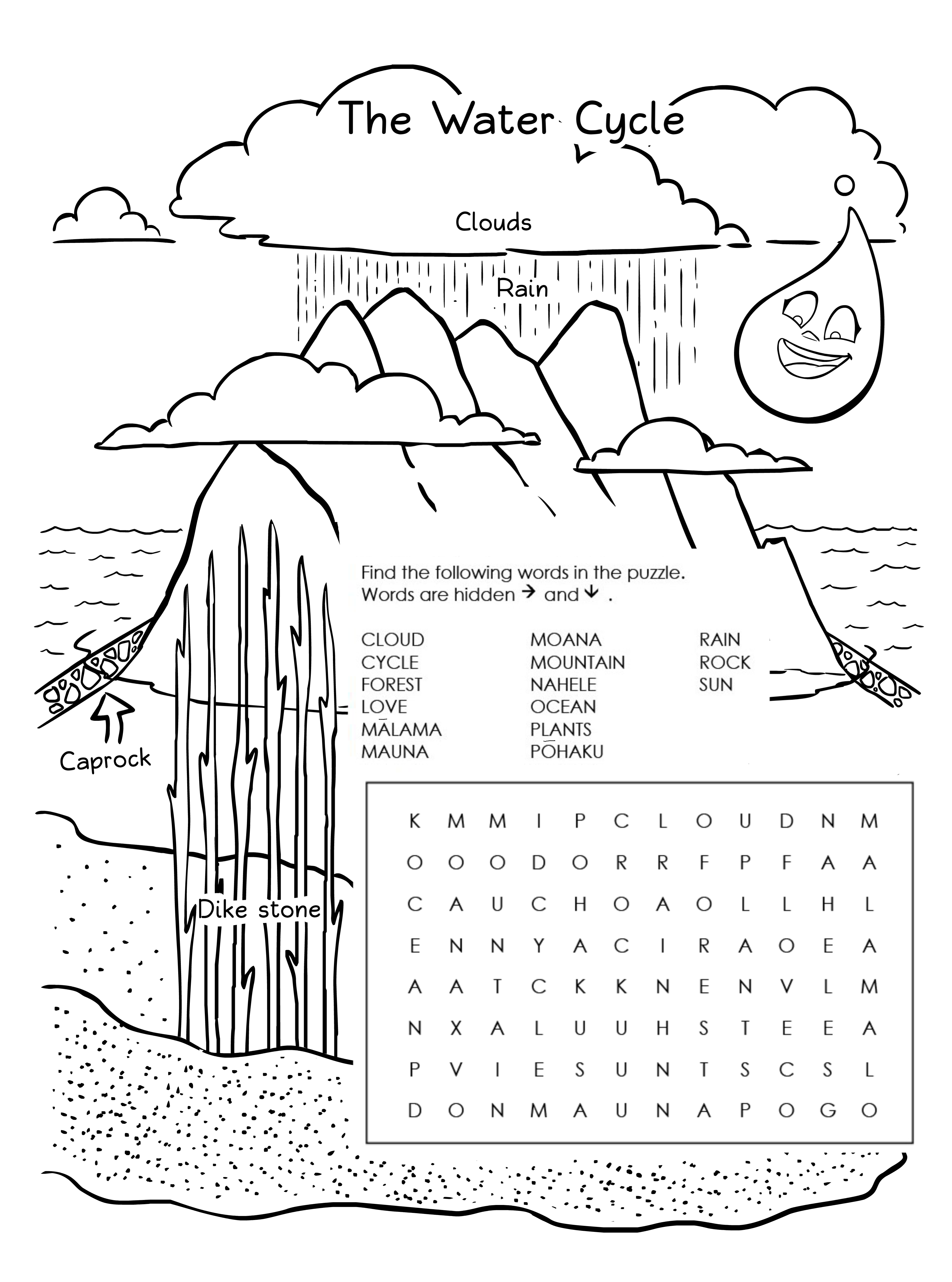 Word Search - Water Cycle