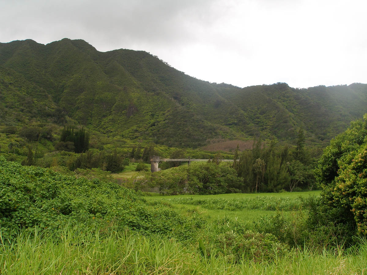 nuuanu