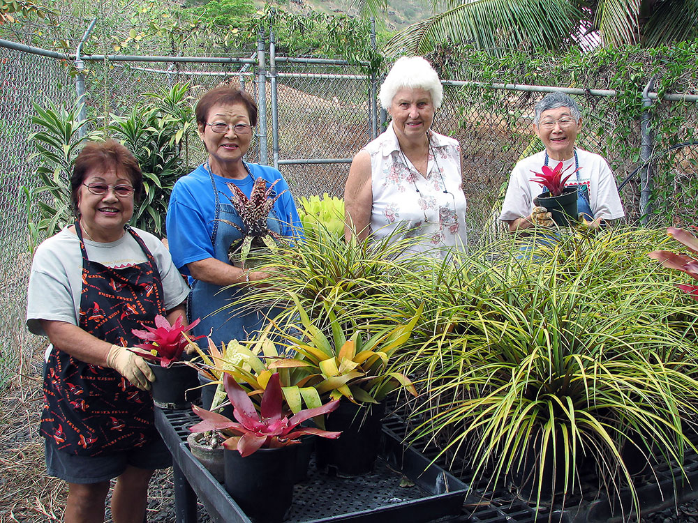 volunteer at halawa xeriscape garden