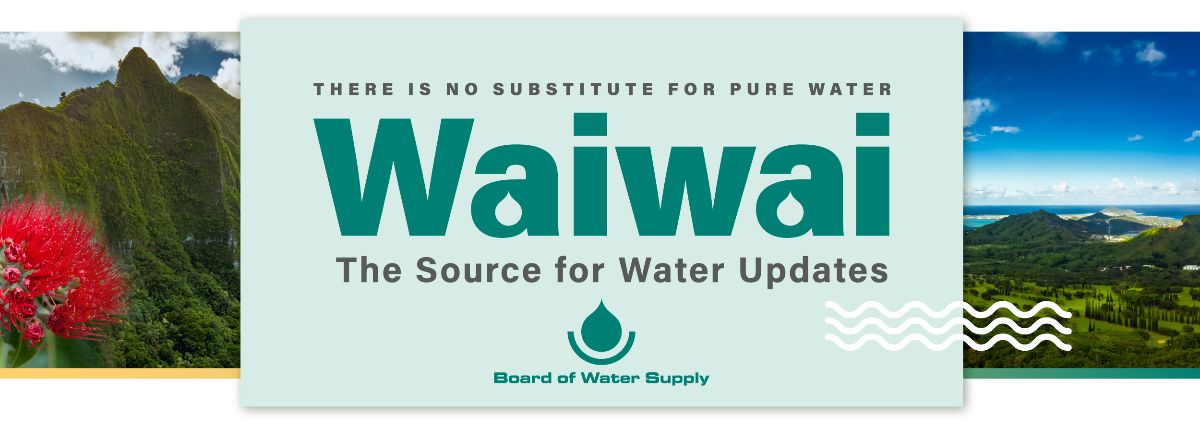 waiwai e-newsletter