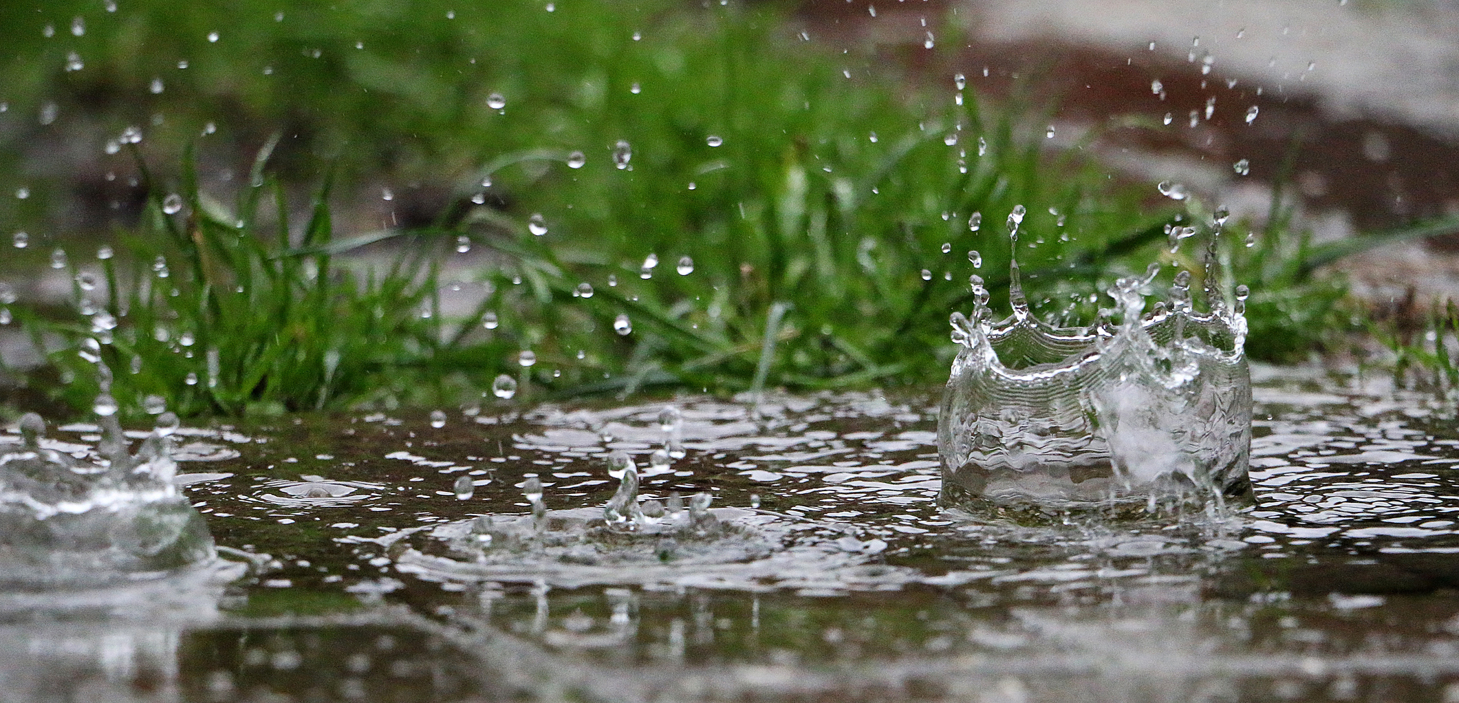 raindrops falling on paved surface with green grass in the background rainfall istock