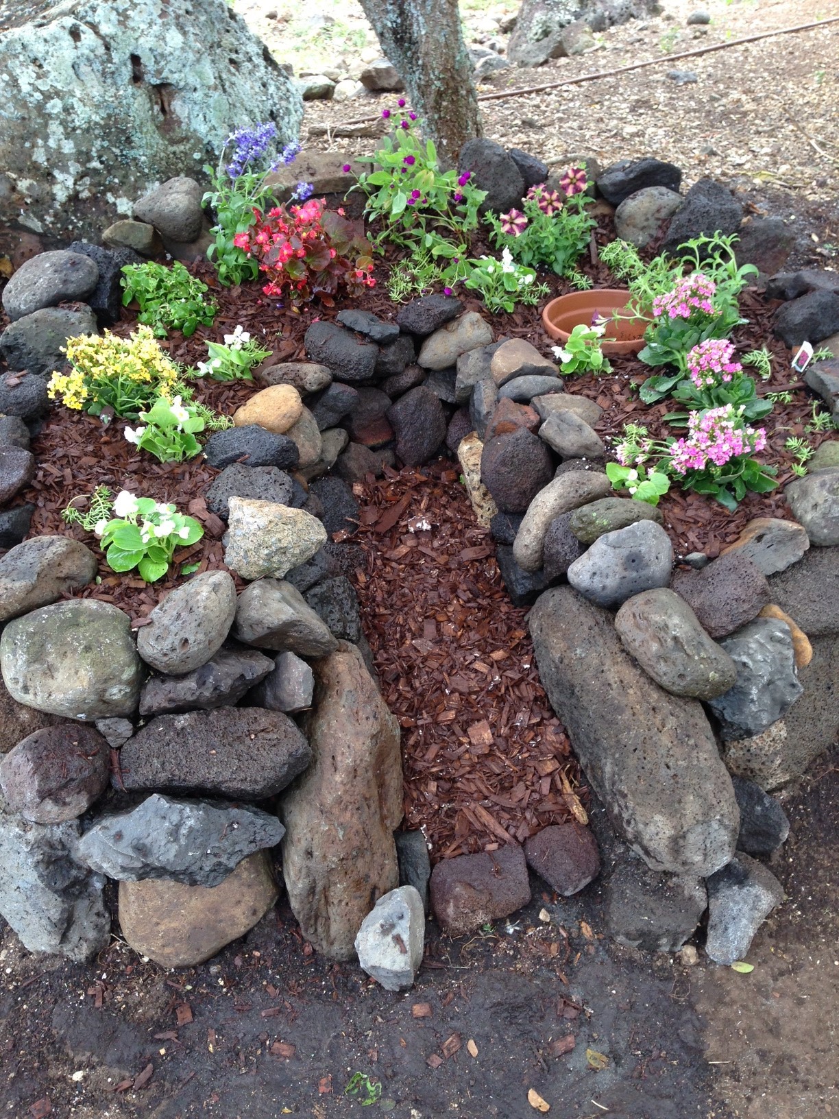 spiral and keyhole gardens