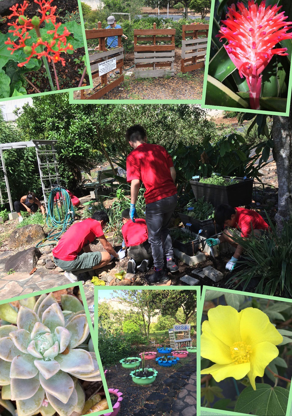 malama aina halawa xeriscape garden