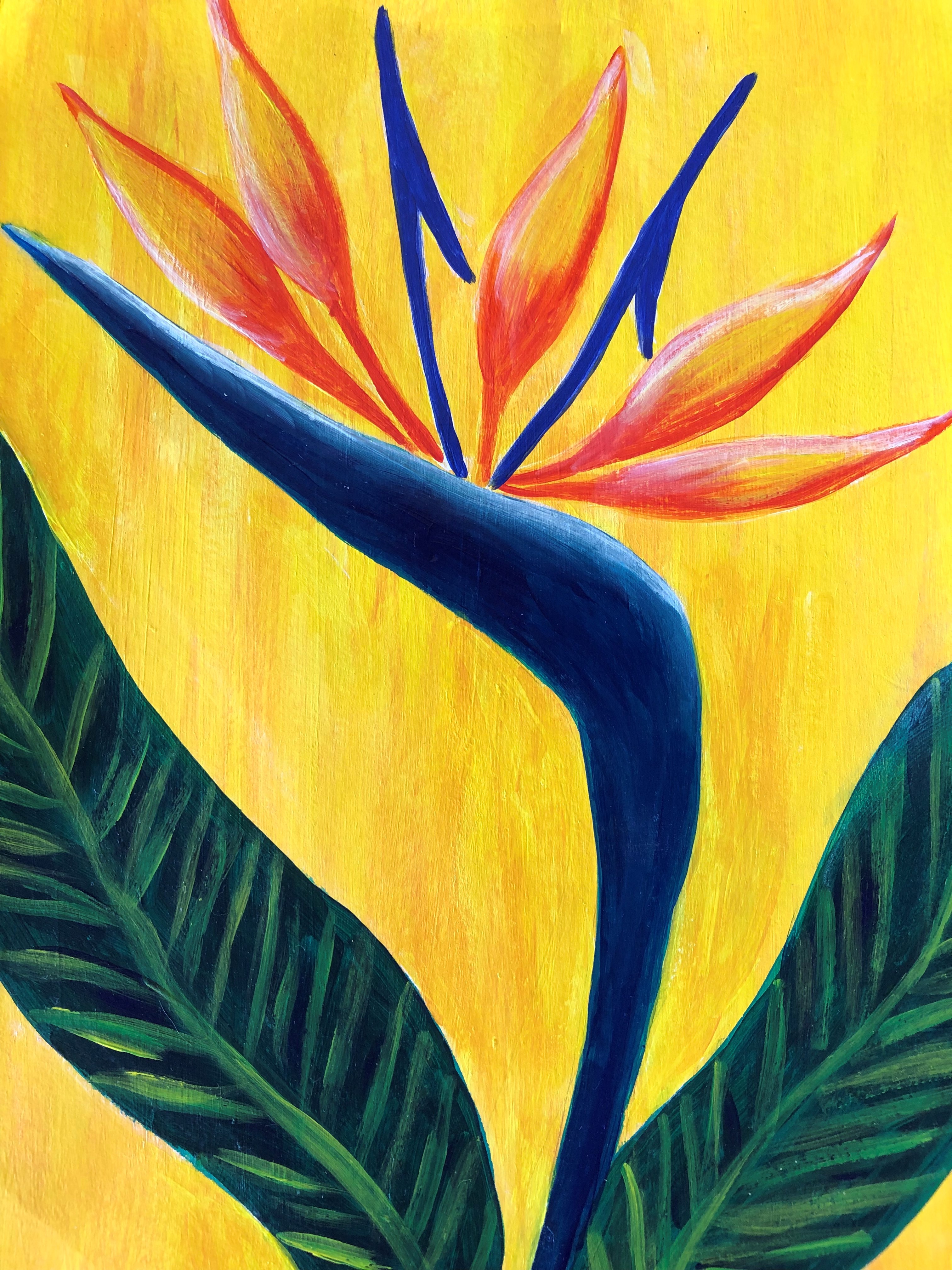 painting bird of paradise