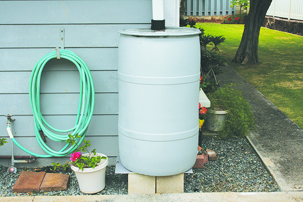 rain barrel