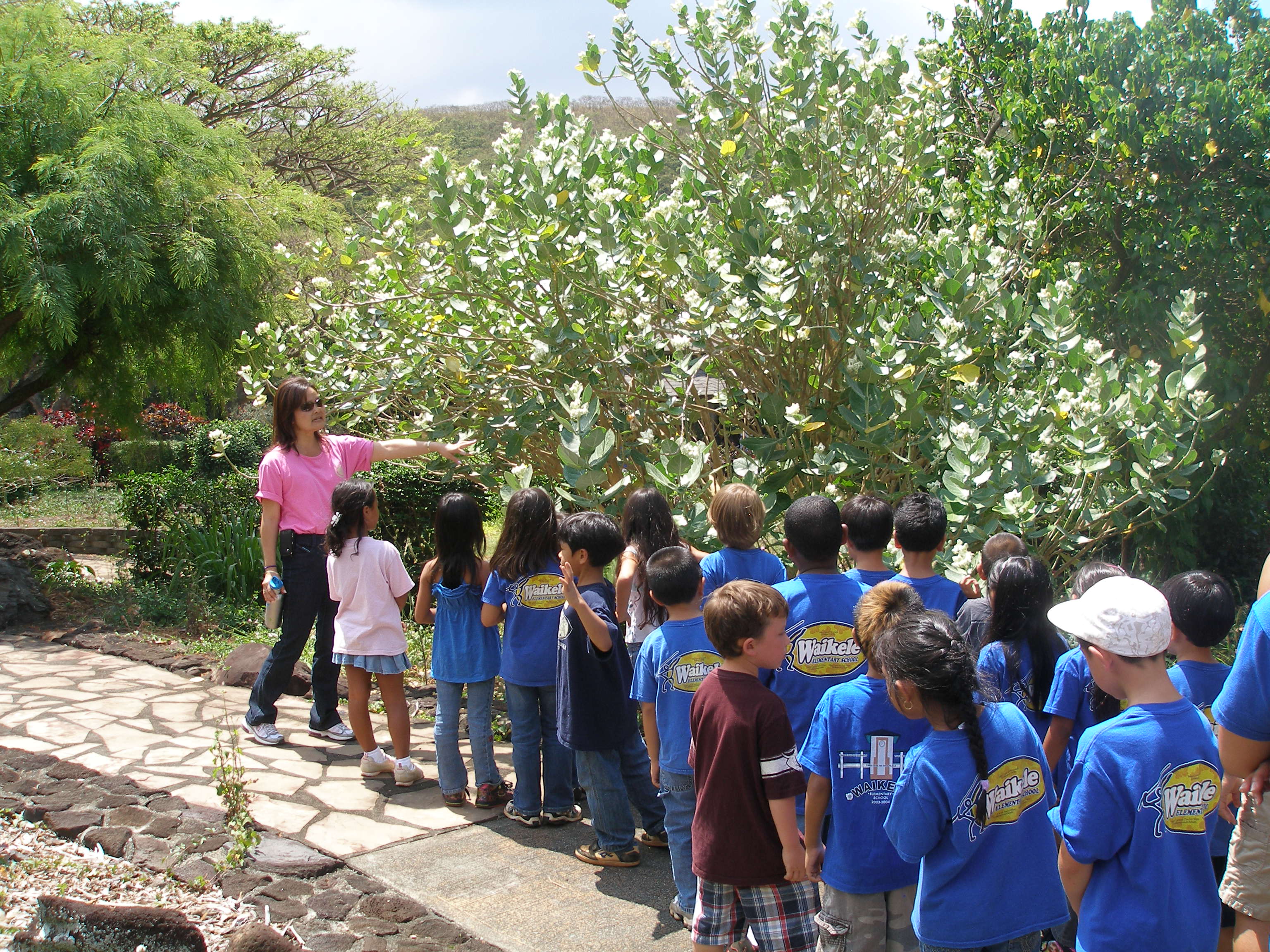 tours halawa xeriscape garden