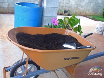 backyard compost sample in wheel barrel