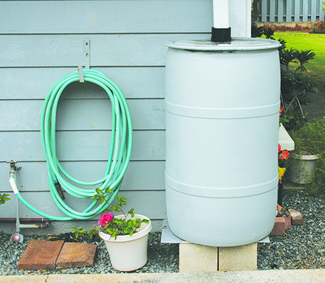 rain barrel