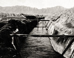 historical - sugar irrigation