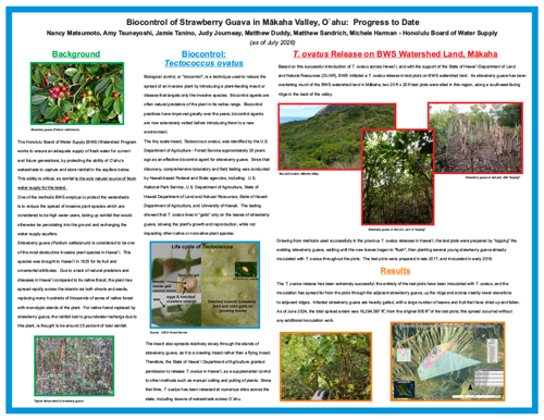 biocontrol of strawberry guava in mahaka valley (July 2026)